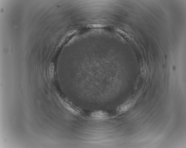 X0000071960231200607071500