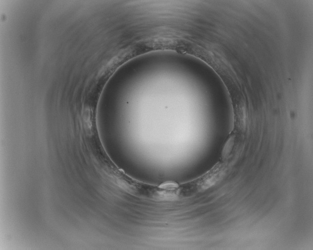 X0000071960232200607071500