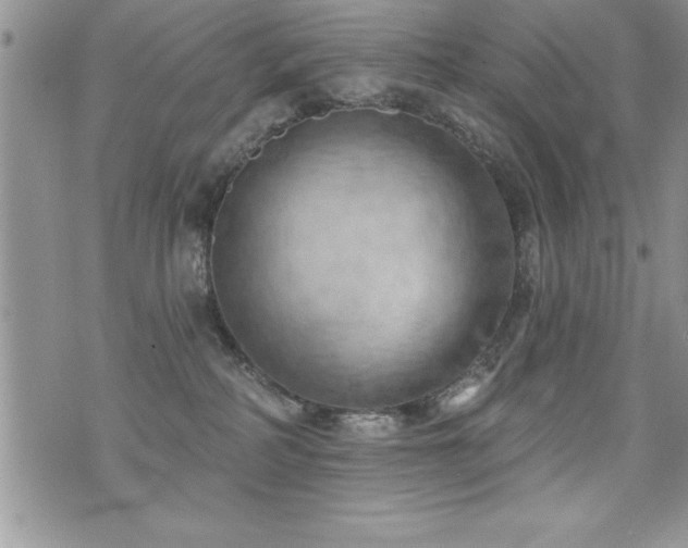 X0000071960234200607071500