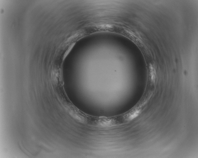 X0000071960235200607071500