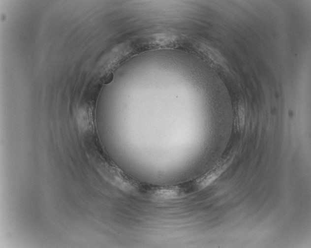 X0000071960236200607071500