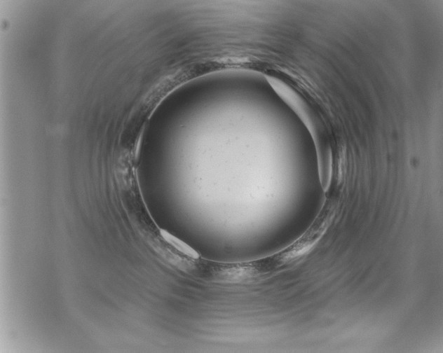 X0000071960237200607071500