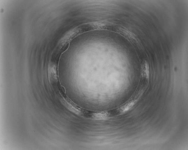 X0000071960238200607071500