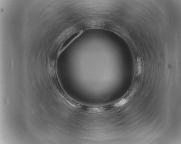 X0000071960239200607071500