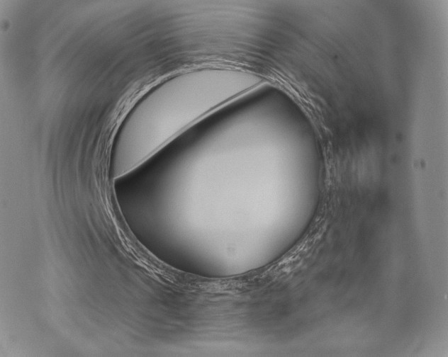 X0000071960241200607071500