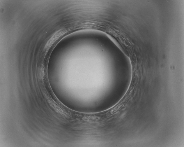 X0000071960242200607071500