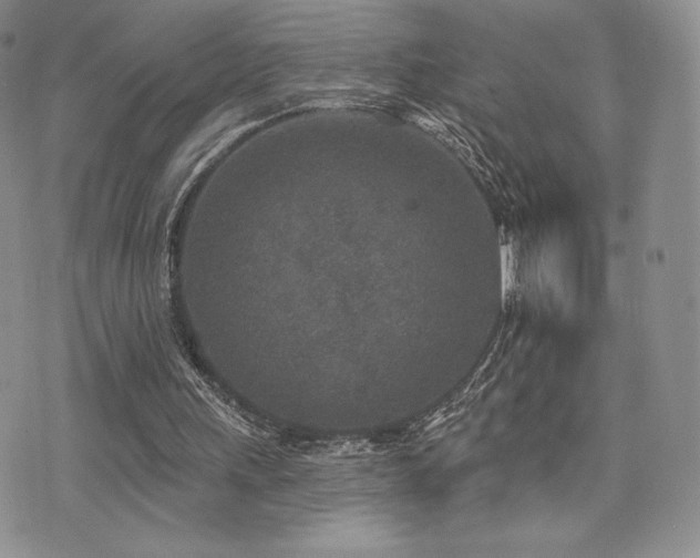 X0000071960243200607071500