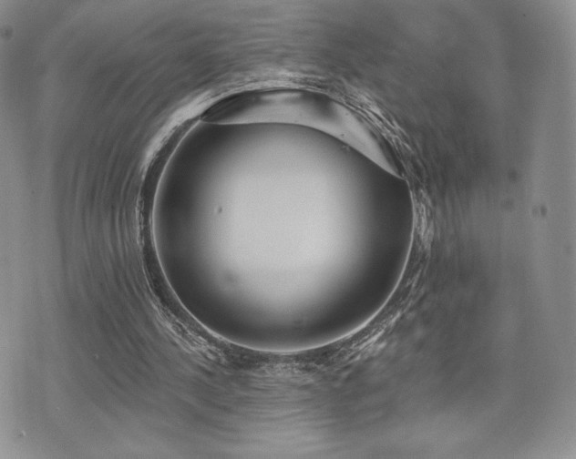 X0000071960244200607071500