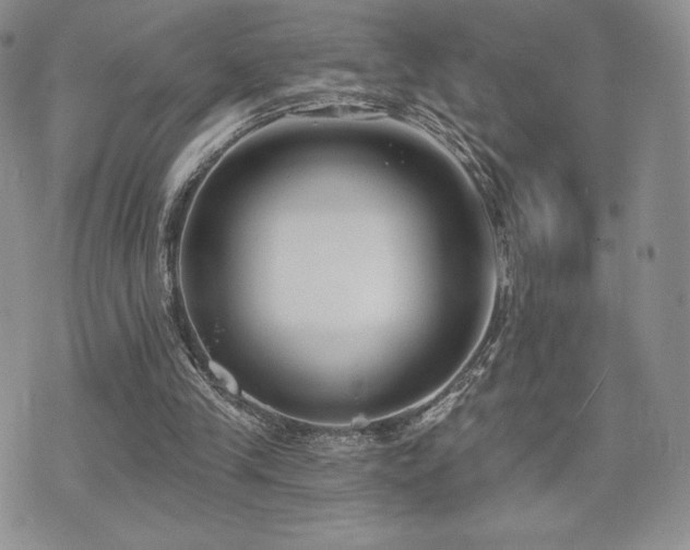 X0000071960245200607071500