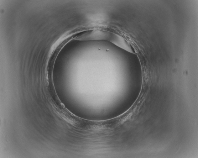 X0000071960246200607071500