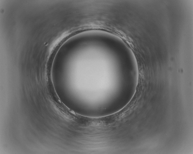 X0000071960248200607071500