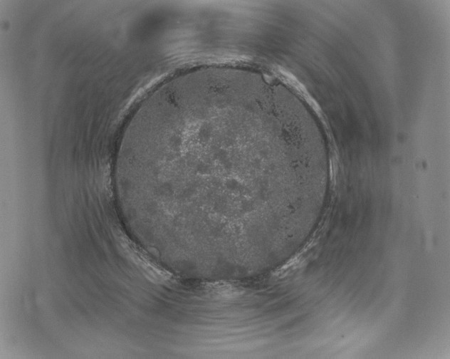 X0000071960249200607071500