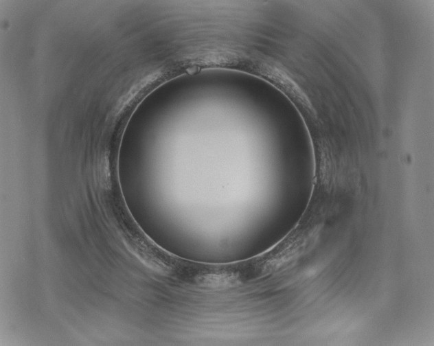 X0000071960251200607071500