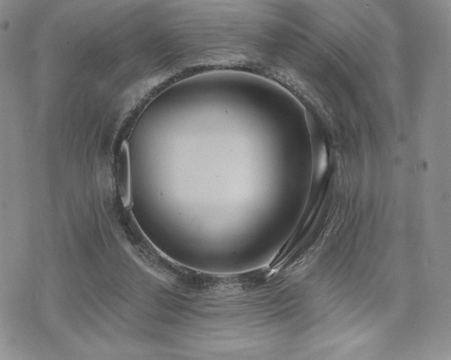 X0000071960252200607071500