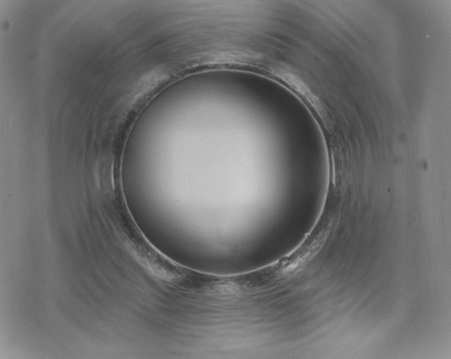 X0000071960253200607071500