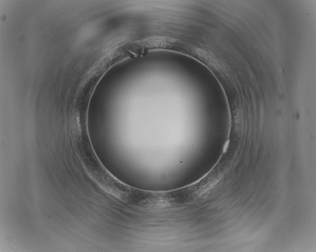 X0000071960254200607071500