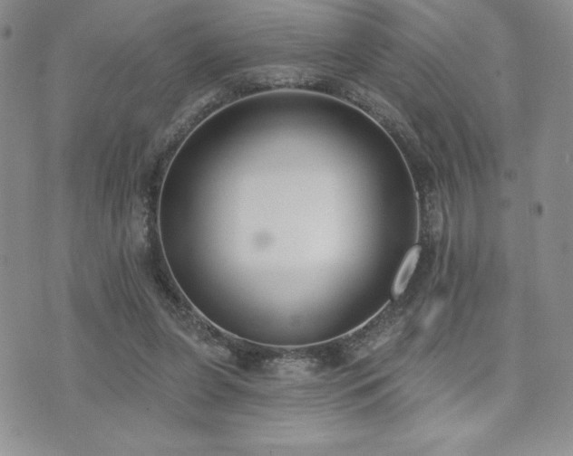 X0000071960255200607071500