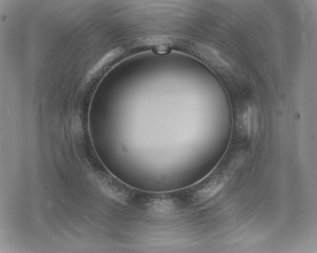 X0000071960256200607071500