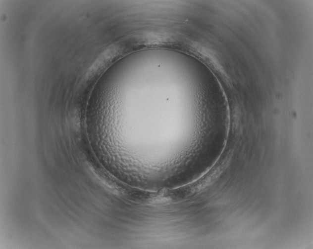 X0000071960257200607071500