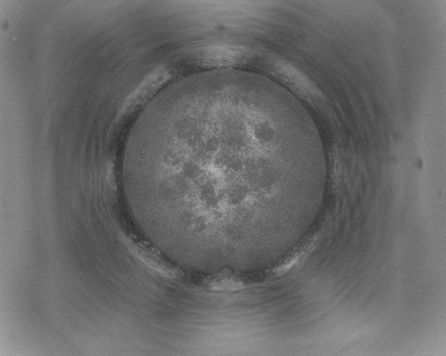 X0000071960258200607071500