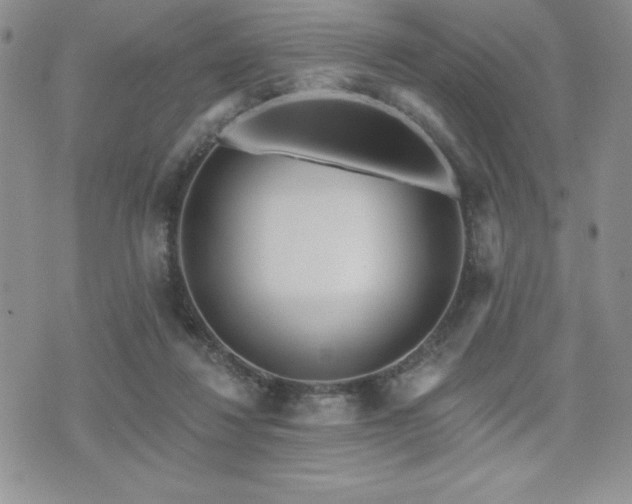 X0000071960260200607071500