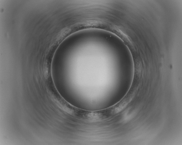 X0000071960261200607071500