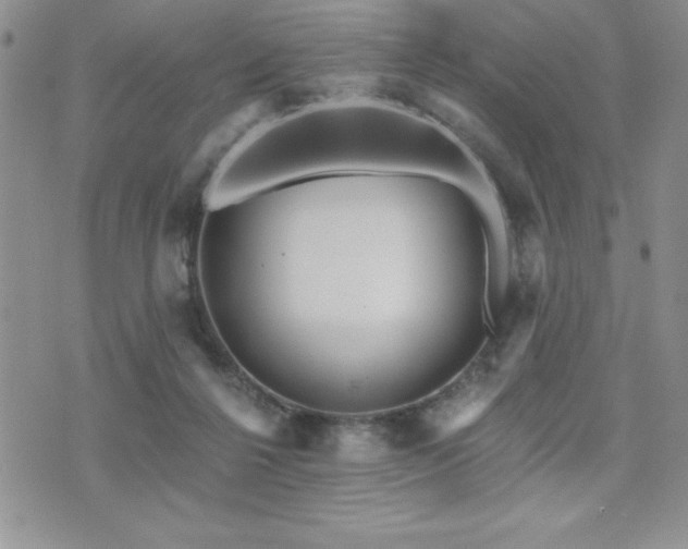 X0000071960264200607071500