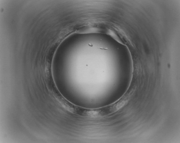 X0000071960265200607071500