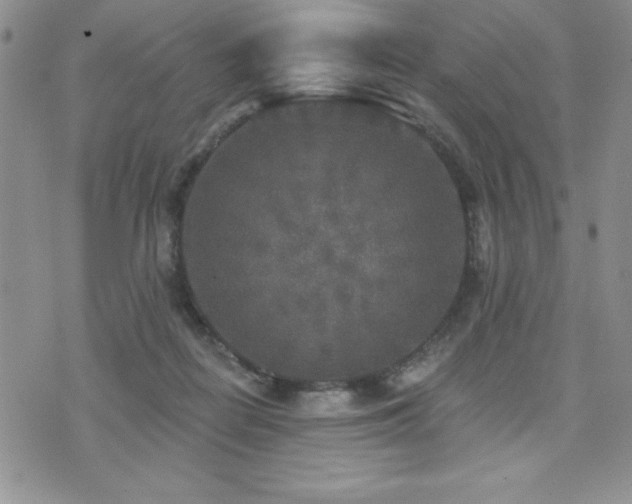 X0000071960266200607071500