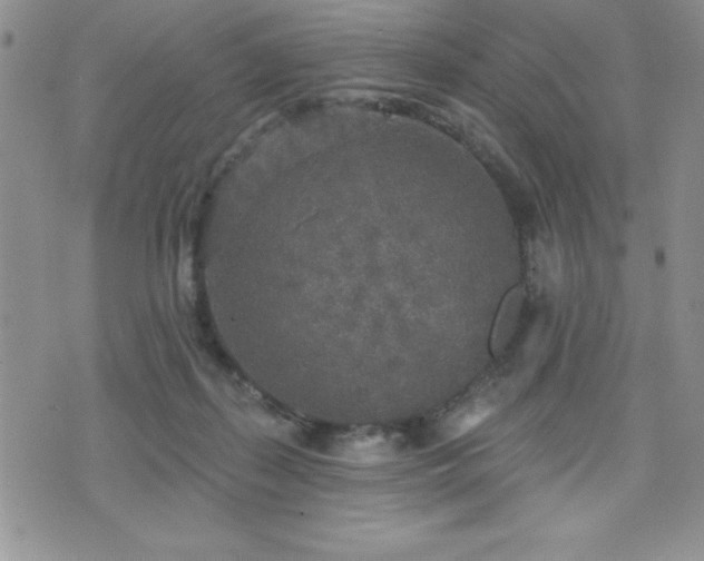 X0000071960267200607071500