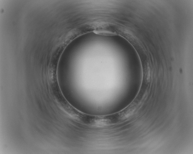 X0000071960268200607071500