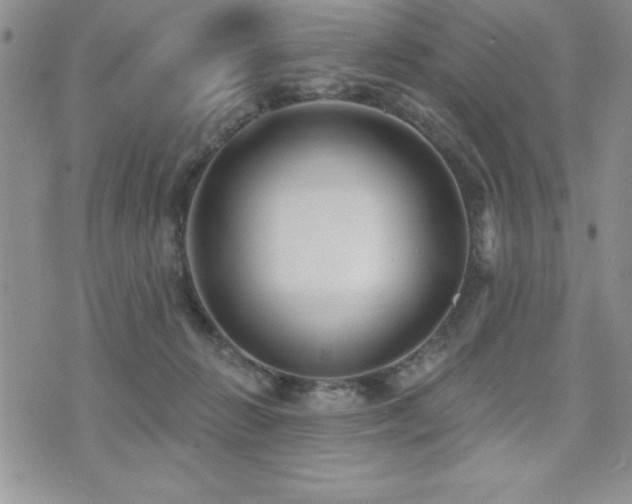 X0000071960270200607071500