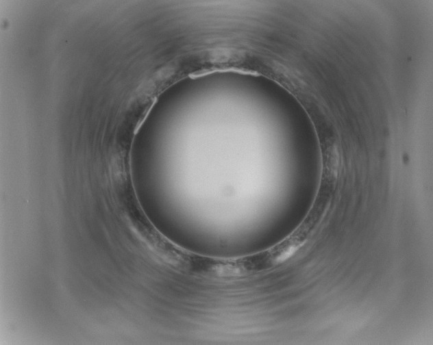 X0000071960272200607071500