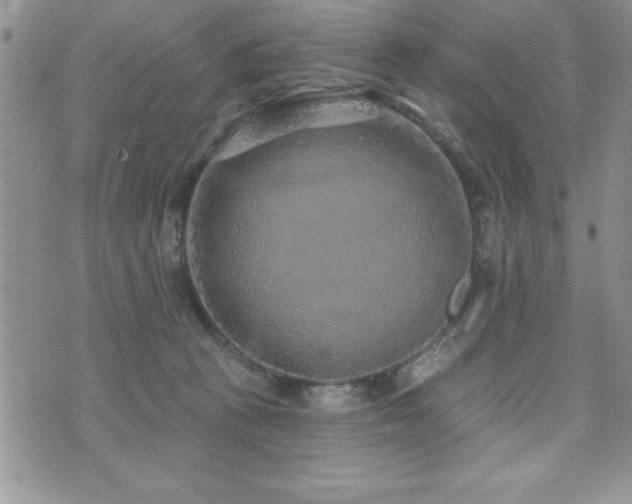 X0000071960273200607071500