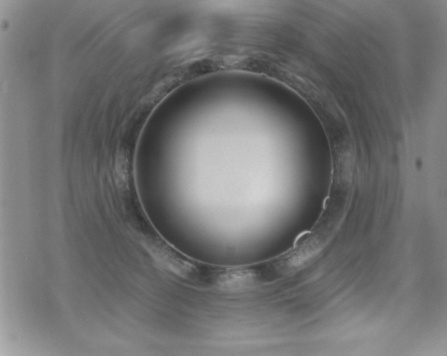 X0000071960274200607071500