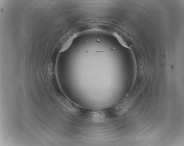 X0000071960275200607071500