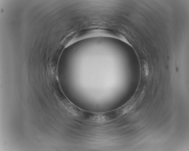 X0000071960276200607071500