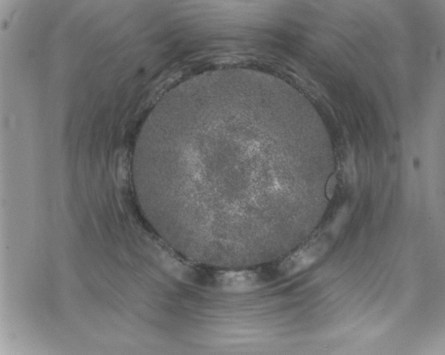 X0000071960277200607071500