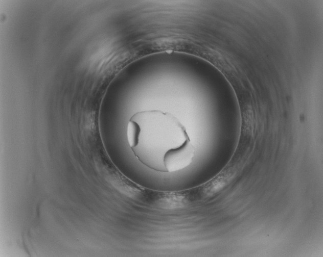 X0000071960278200607071500