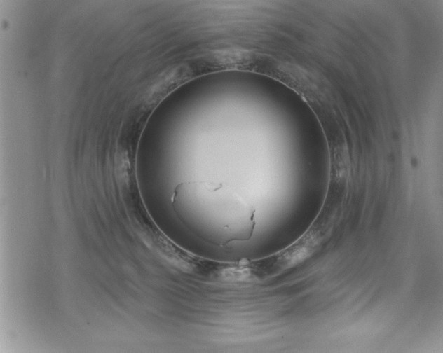 X0000071960279200607071500