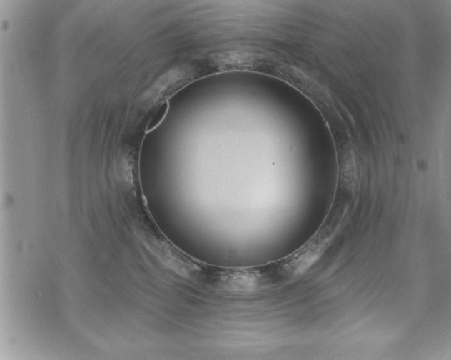 X0000071960282200607071500