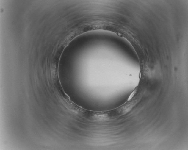 X0000071960283200607071500