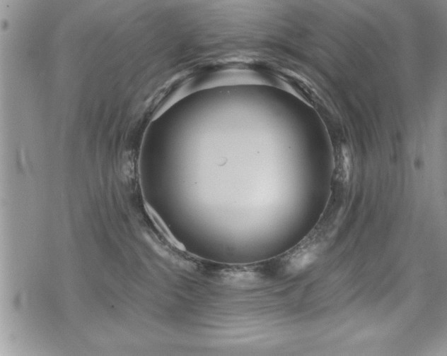 X0000071960284200607071500