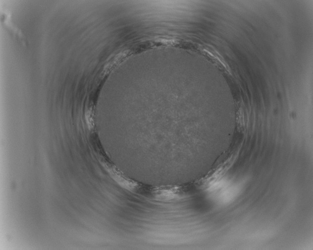 X0000071960285200607071500