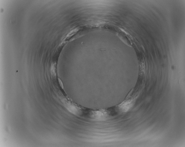 X0000071960286200607071500