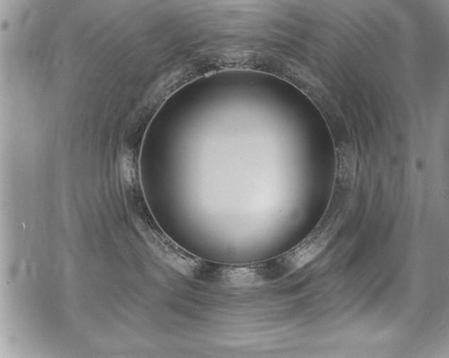 X0000071960287200607071500