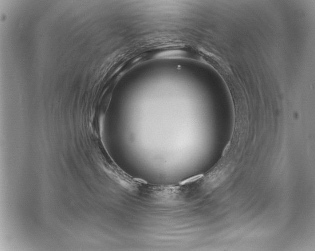 X0000071960288200607071500