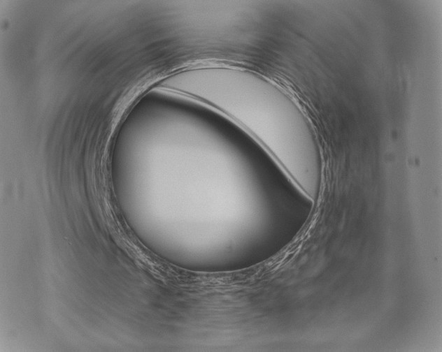 X0000071960289200607071500