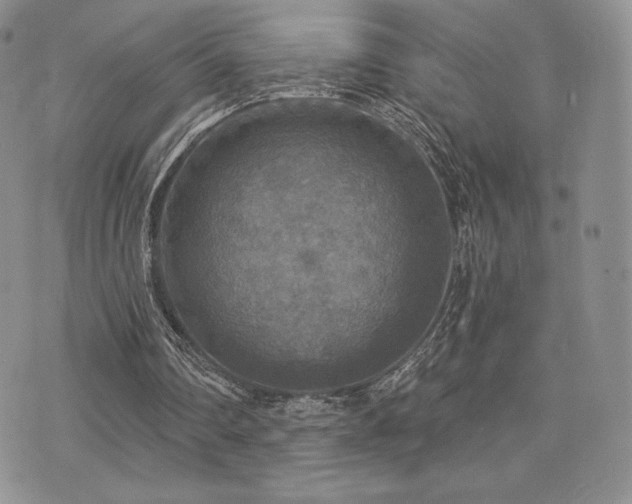 X0000071960290200607071459