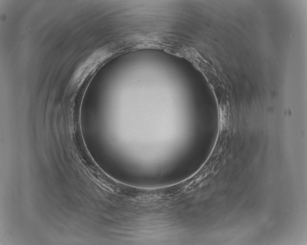 X0000071960291200607071459